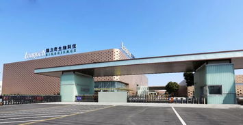 鐫定時代坐標，隆力奇譜寫發展新華章